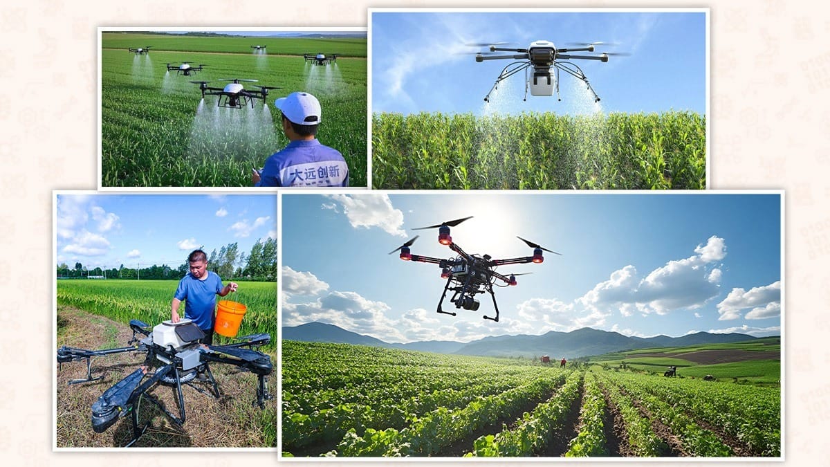 Study Abroad Program in China precision agriculture drones spraying crops in fields